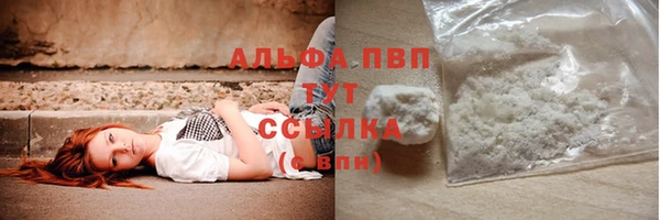 ПСИЛОЦИБИНОВЫЕ ГРИБЫ Верея