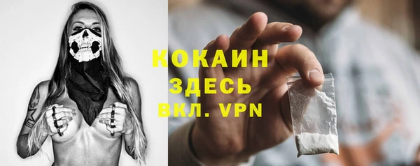 ПСИЛОЦИБИНОВЫЕ ГРИБЫ Верея