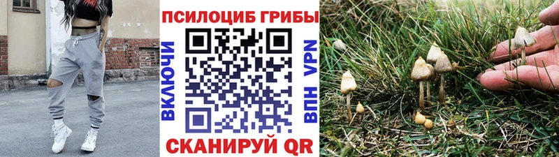 Псилоцибиновые грибы Psilocybe  Янаул 
